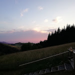 Photo n°1 de l'avis de Á... fait le 15/07/2018 à 10:14 sur le  Holzschlägermatte à Freiburg im Breisgau