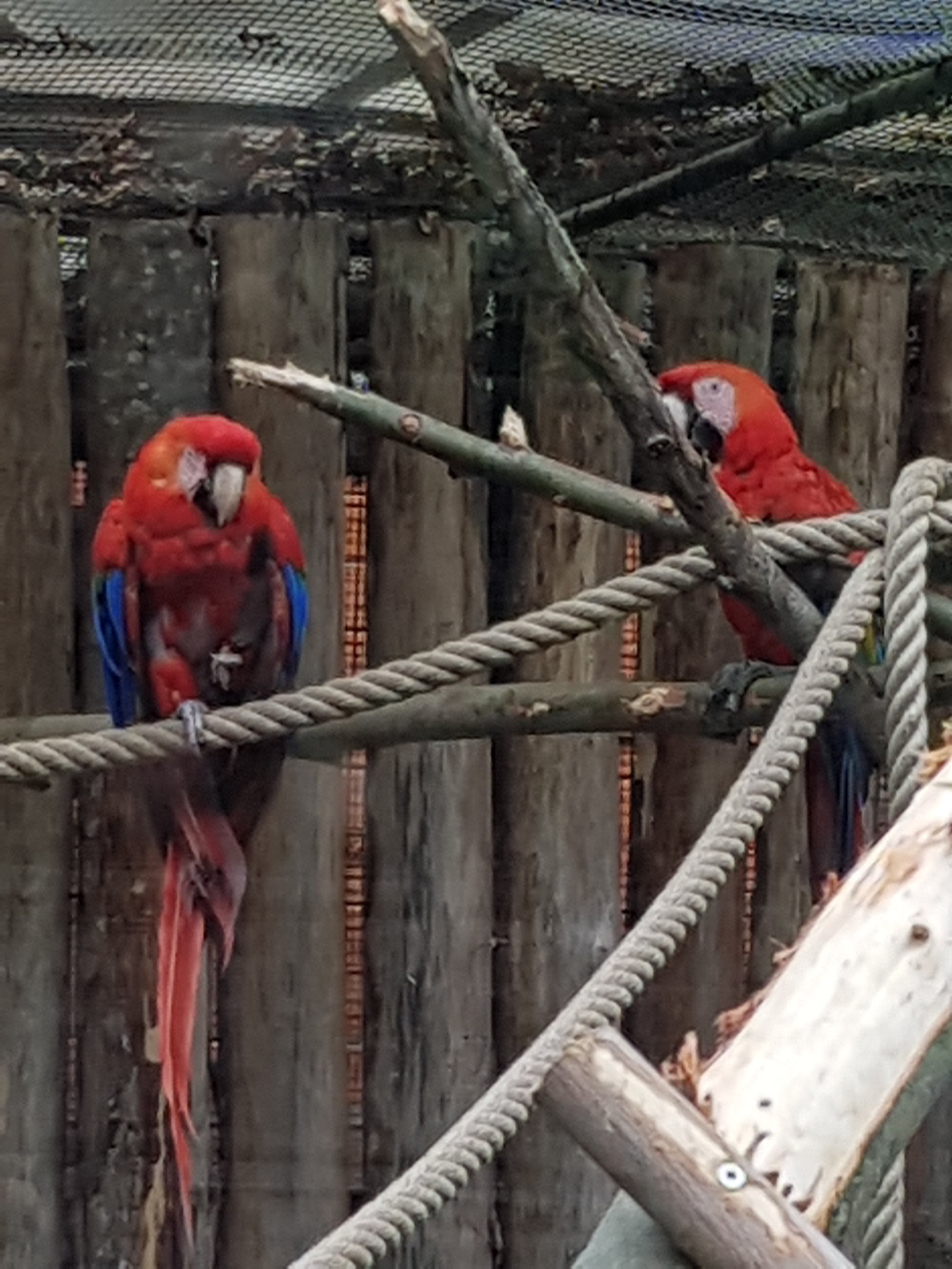 Photo n° 11 de l'avis de armede.n fait le 21/06/2018 à 12:09
