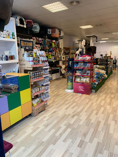 MASCOTTA MANRESA - Manresa