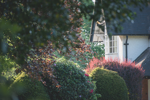 site_photo4