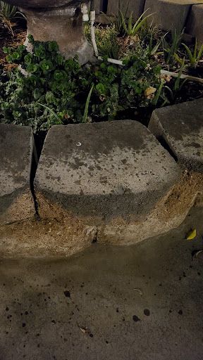 Coffee Shop «Coffee Rush», reviews and photos, 1555 N Gilbert Rd, Gilbert, AZ 85234, USA