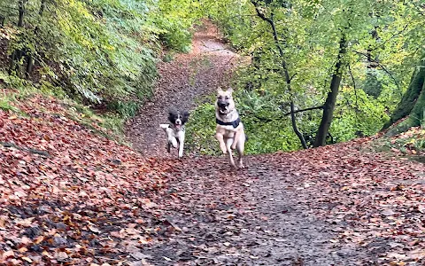 Redburn Country Park image