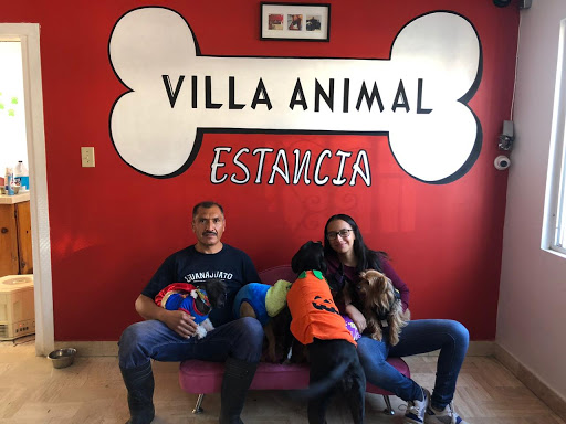 Villa Animal Estancia