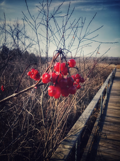 Nature Preserve «Kishwauketoe Nature Conservancy», reviews and photos, 251 Elkhorn Rd, Williams Bay, WI 53191, USA