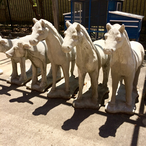 Pet Supply Store «The Stock Market Country Store», reviews and photos, 4479 Dover Pl SE, Conyers, GA 30013, USA