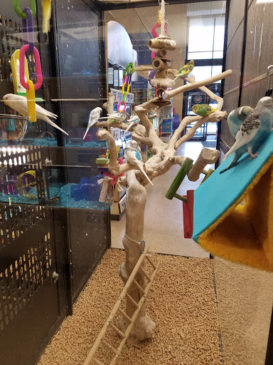 Pet Supply Store «PetSmart», reviews and photos, 931 I-30 Frontage Rd, Rockwall, TX 75032, USA