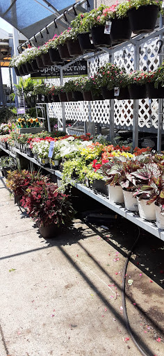 Home Improvement Store «The Home Depot», reviews and photos, 115 E N Pointe Dr, Salisbury, MD 21804, USA