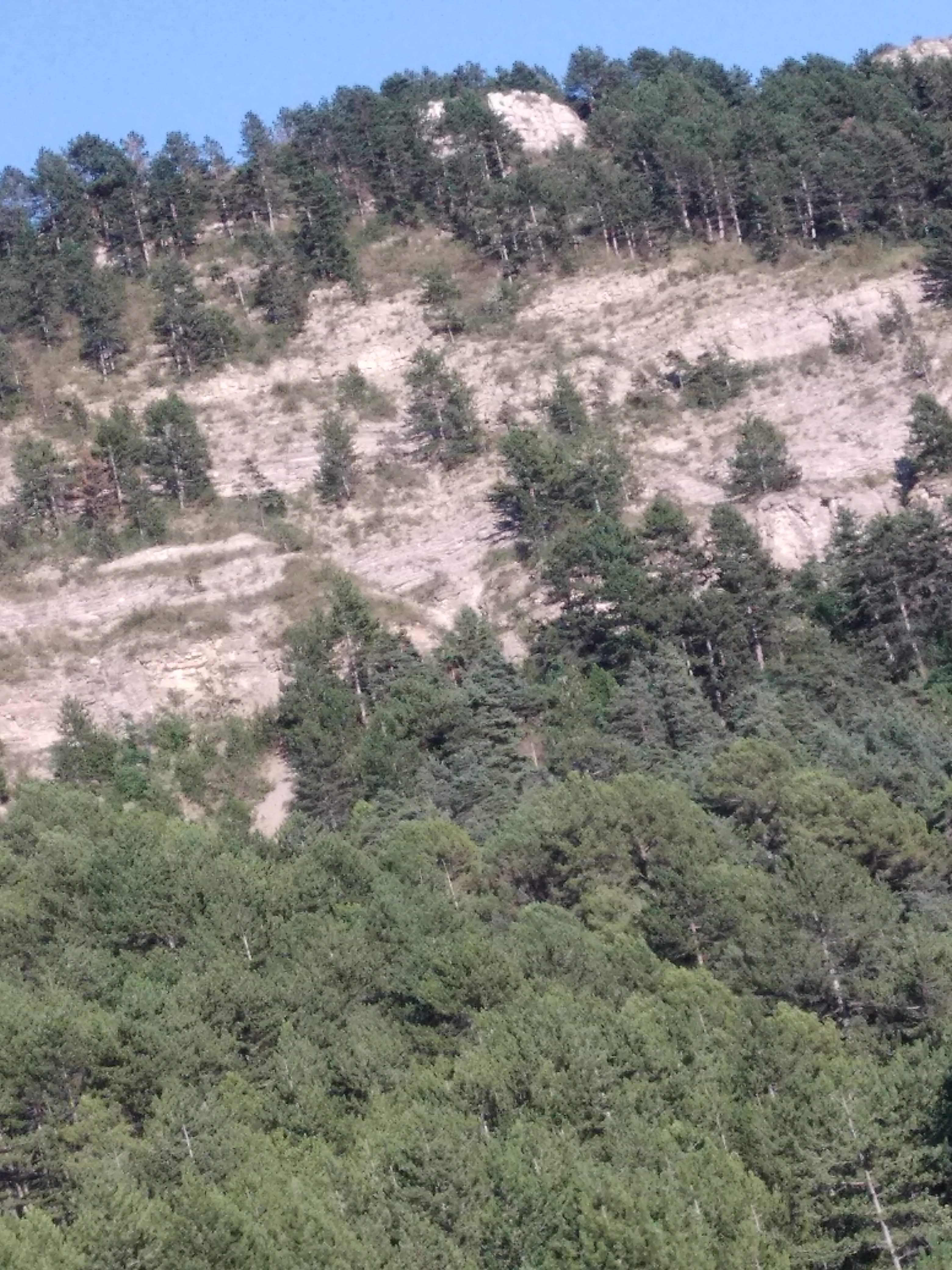 Photo n° 22 de l'avis de Nathalie.T fait le 12/07/2018 à 21:49