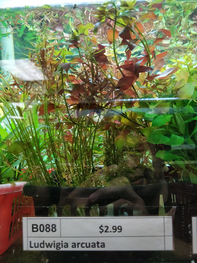 Pet Store «All Pet Center», reviews and photos, 1950 S Atlantic Blvd, Monterey Park, CA 91754, USA