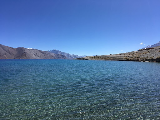 Travel Agency «Ticketsroundtheworld.com», reviews and photos, 16704 International Blvd, SeaTac, WA 98188, USA