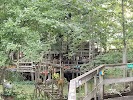 The Big Treehouse