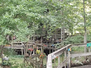 The Big Treehouse - photo 1