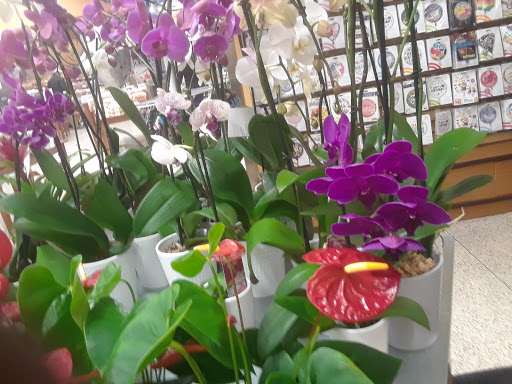 Supermarket «Publix Super Market at Guntersville Landing», reviews and photos, 2300 Gunter Ave, Guntersville, AL 35976, USA