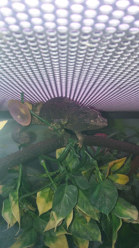 Pet Supply Store «Petco Animal Supplies», reviews and photos, 3637 2700 W, West Valley City, UT 84119, USA