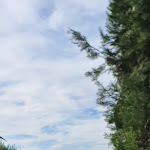 Photo n°6 de l'avis de LUCA.A fait le 11/08/2022 à 21:40 sur le  Bagno Santo Hotel à Saturnia