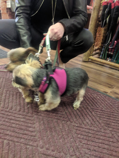 Pet Supply Store «Scally Waggs Doggy Bakery & Pet Supplies», reviews and photos, 44 W Front St, Monroe, MI 48161, USA