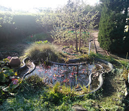 Kleingartenanlage Am Falkenberg photo