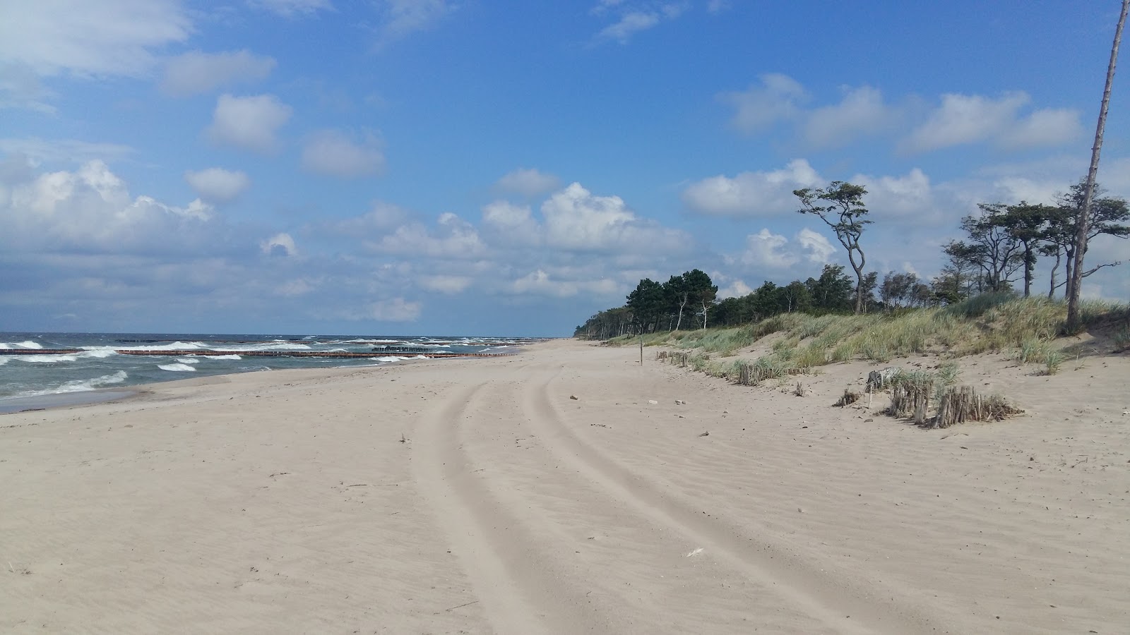 Amber Harbor beach的照片 位于自然区域