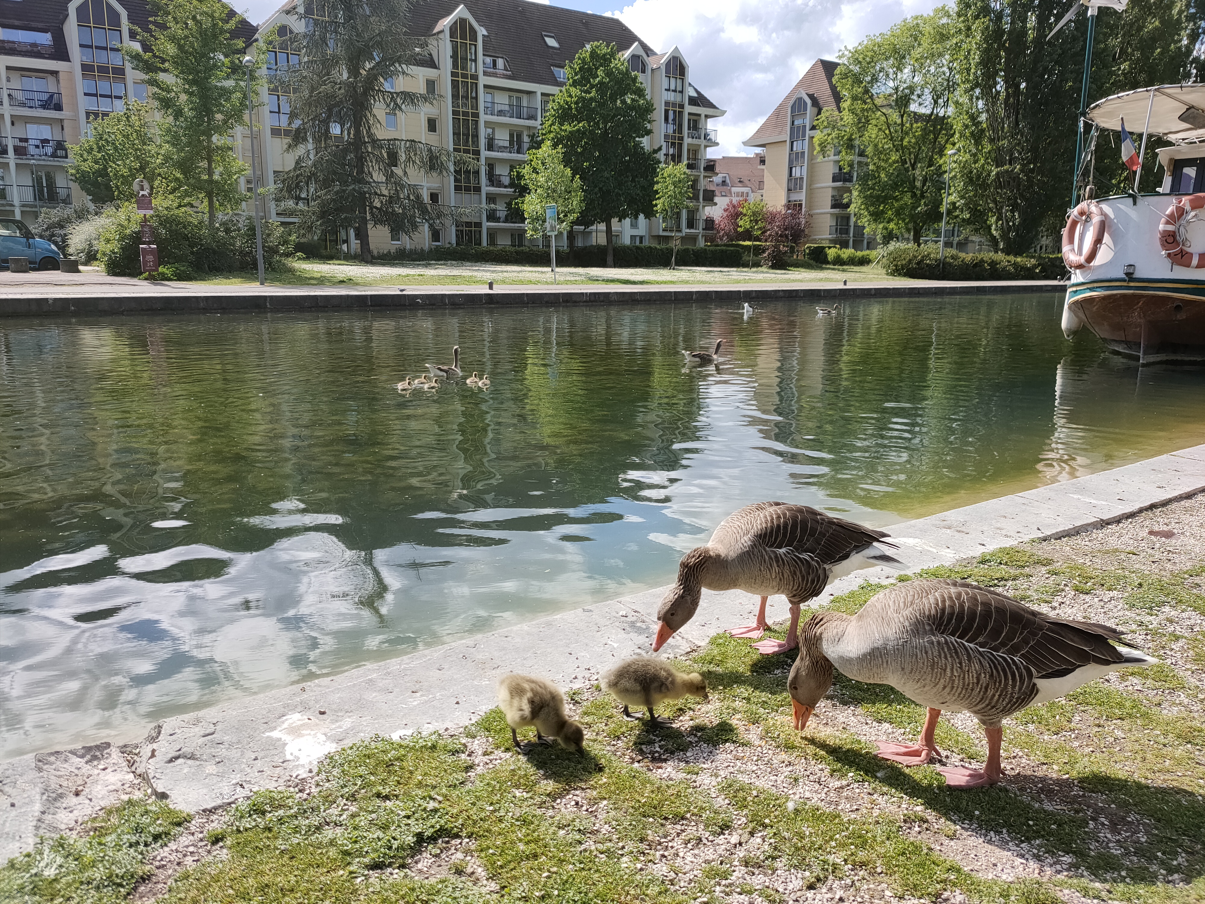 Photo n° 7 de l'avis de Justine. fait le 15/05/2021 à 20:07