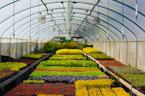 Rexius | Corporate Office - Photo 6 - Car repair in Eugene, OR, Eugene