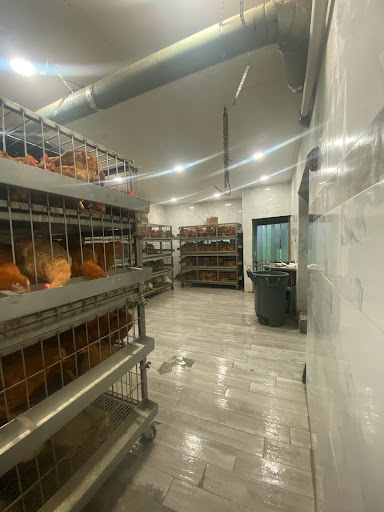 Grocery Store «Sandys Poultry Market», reviews and photos, 305 Madison Ave, Plainfield, NJ 07060, USA