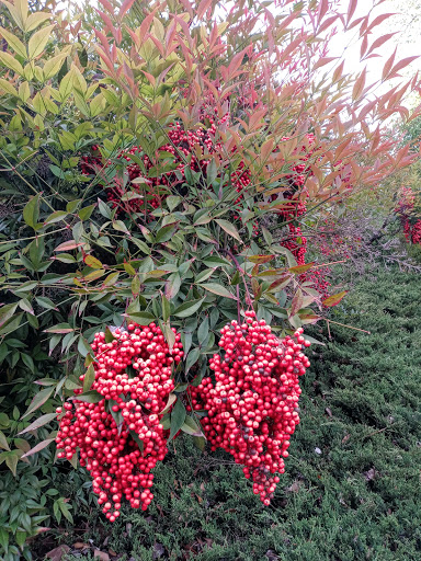 Shopping Mall «Ravenwood Shopping Center», reviews and photos, 910 Taylor Ave, Towson, MD 21286, USA