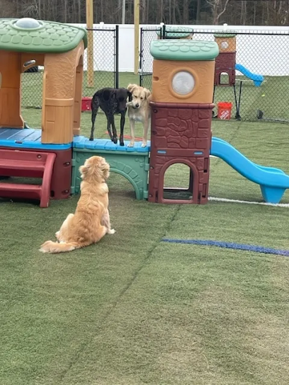 Farmer Pup's Playhouse