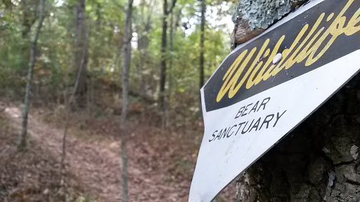 Tourist Attraction «French Broad Overlook», reviews and photos, 3938 Blue Ridge Pkwy, Arden, NC 28704, USA