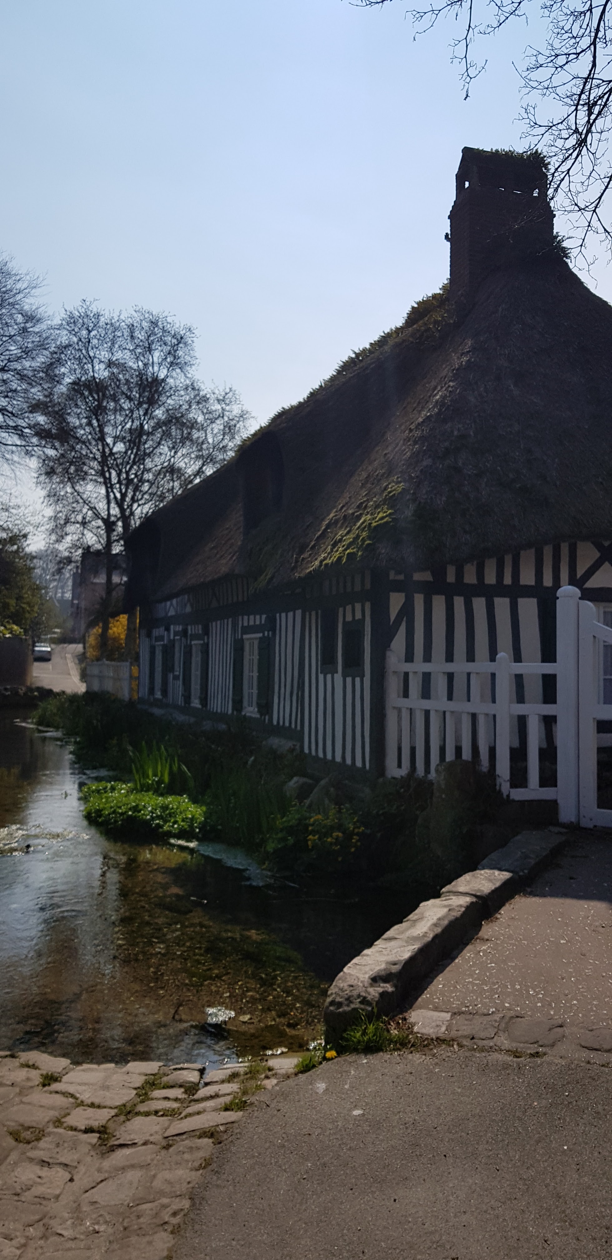 Photo n° 43 de l'avis de beatrice.r fait le 08/04/2019 à 15:08