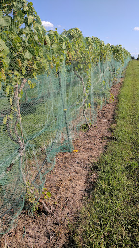 Winery «Deer Springs Winery», reviews and photos, 16255 Adams St, Lincoln, NE 68527, USA