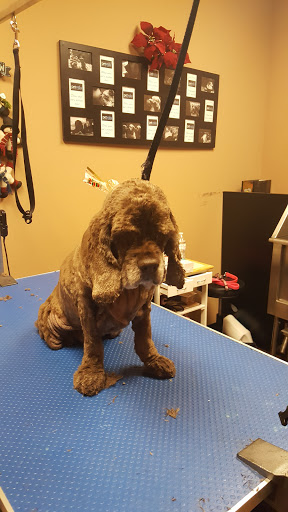 Pet Store «Pet Valu», reviews and photos, 2645 Shillington Rd, Sinking Spring, PA 19608, USA