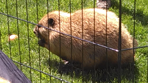 Park «Acushnet Sawmill», reviews and photos, 32 Mill Rd, Acushnet, MA 02743, USA