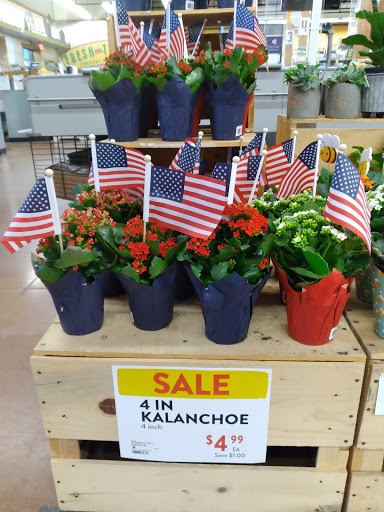 Grocery Store «Fresh Thyme Farmers Market- Troy MI», reviews and photos, 901 E Big Beaver Rd, Troy, MI 48083, USA