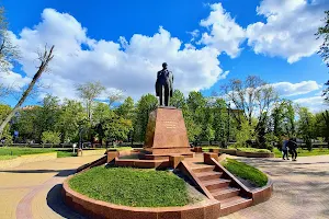 Park Shevchenka image