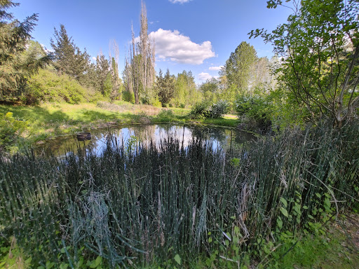 Park «Waterworks Gardens», reviews and photos, Oakesdale Ave SW, Renton, WA 98057, USA