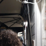 Photo n°1 de l'avis de Giulio.e fait le 16/09/2020 à 18:37 sur le  Pescaria à Rome