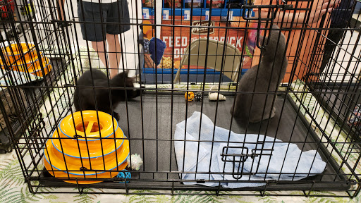 Pet Supply Store «PetSmart», reviews and photos, 111 Nassau Park Blvd, Princeton, NJ 08540, USA