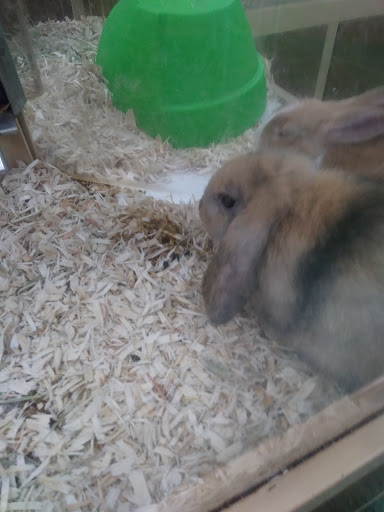 Pet Supply Store «Pet Supermarket», reviews and photos, 1629 Perry Hill Rd, Montgomery, AL 36106, USA