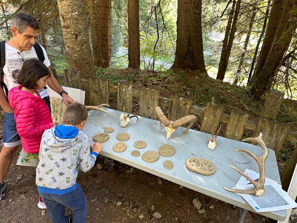 Photo n° 2 de l'avis de Muriel.e fait le 14/10/2023 à 10:32