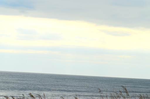 Bicycle Rental Service «Ocean Rentals Ltd.», reviews and photos, 577 Sandbridge Rd, Virginia Beach, VA 23456, USA