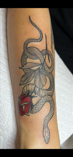 Explore small mushroom tattoo ideas, creative tattoo ideas in Russellville, available at AR Ink