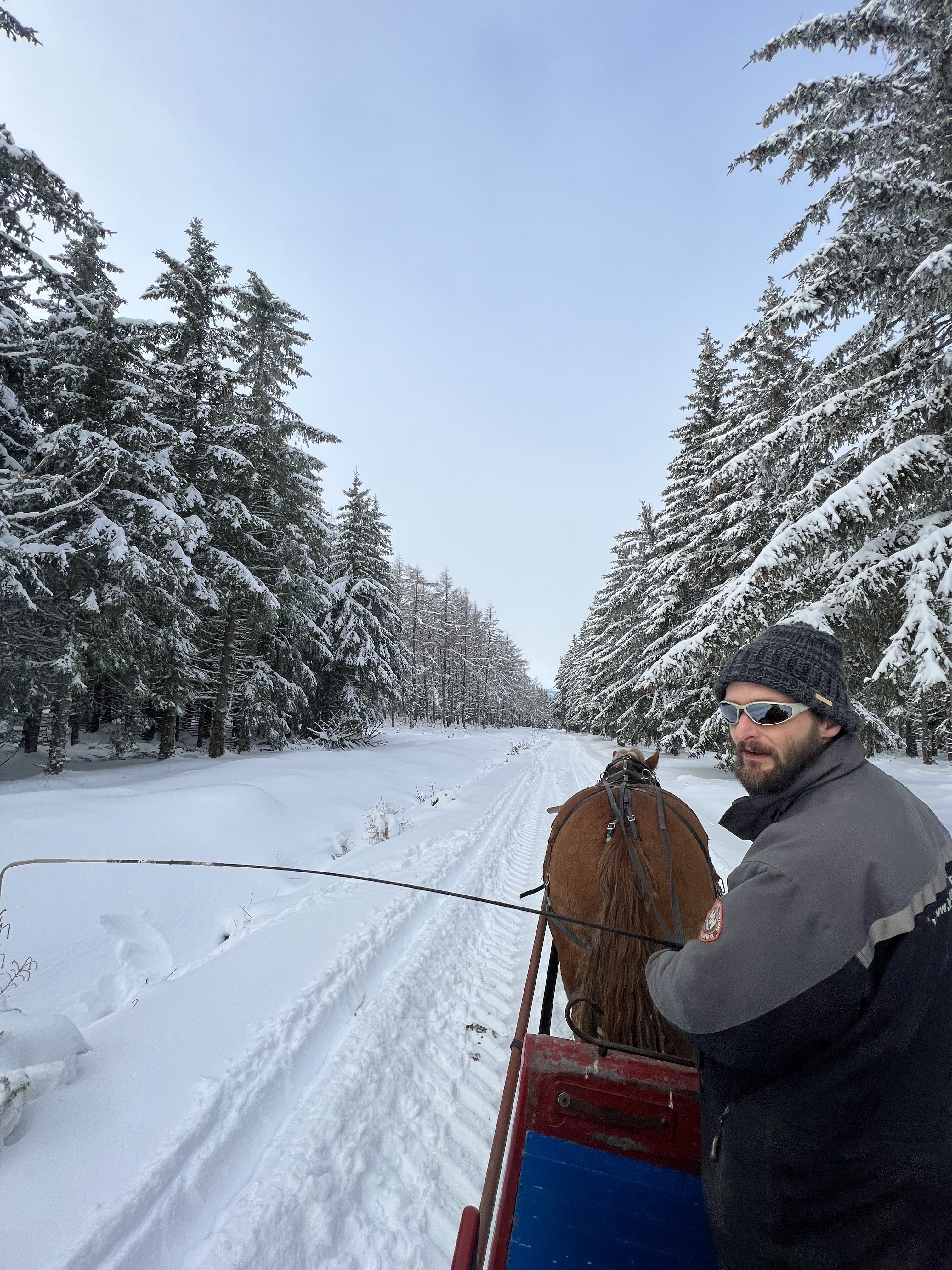 Photo n° 2 de l'avis de Romane.a fait le 13/12/2021 à 09:36