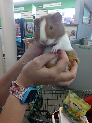 Pet Supply Store «Pet Supplies Plus», reviews and photos, 3040 Cromer Ave NW, Canton, OH 44709, USA