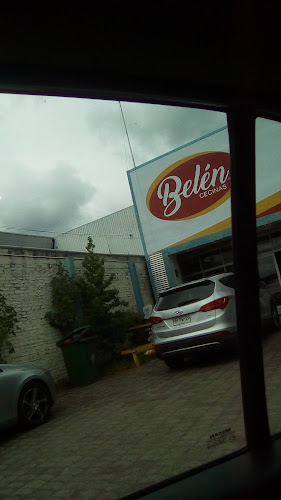http://www.cecinasbelen.cl/