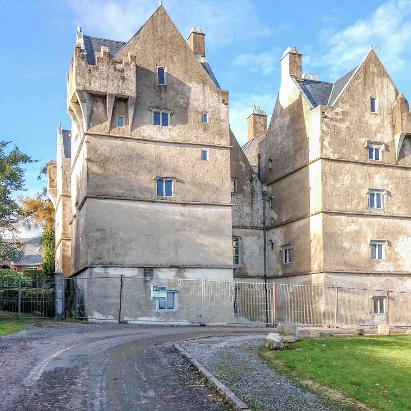 Monkstown Castle(Caisleán Bhaile na Manach)