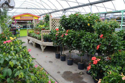 Young's Greenhouse & Flower Shop