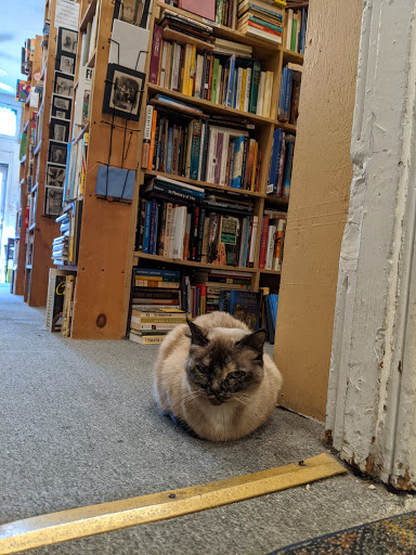 Book Store «The Book Escape», reviews and photos, 805 Light St, Baltimore, MD 21230, USA