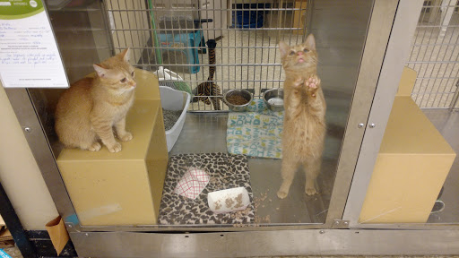 Pet Supply Store «PetSmart», reviews and photos, 310 NJ-36, West Long Branch, NJ 07764, USA