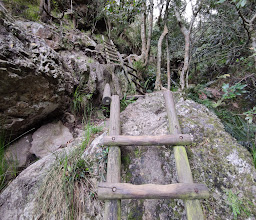 Skeleton Gorge photo