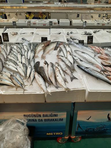 Balıkçılık Kampı Diyarbakır